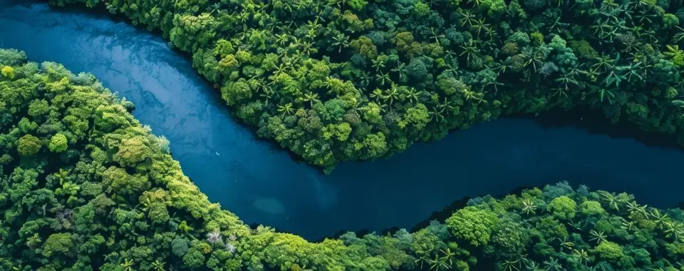 Intercept Technology™ - Protección de Barrera Reactiva para el Medio Ambiente.