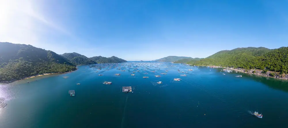 Intercept Technology™ - Empaque de alimentos sostenible.