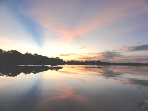 Intercept Technology™ - Alternativas Ecológicas. Intercept Technology™ - Alternativas Ecológicas.