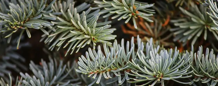 Intercept Technology™ - Previene Naturalmente Moho y Hongo. Intercept Technology™ - Previene Naturalmente Moho y Hongo.