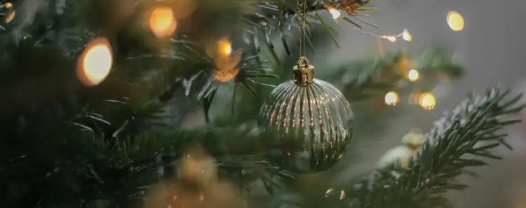 Intercept Technology™ - Protege tus Adornos.