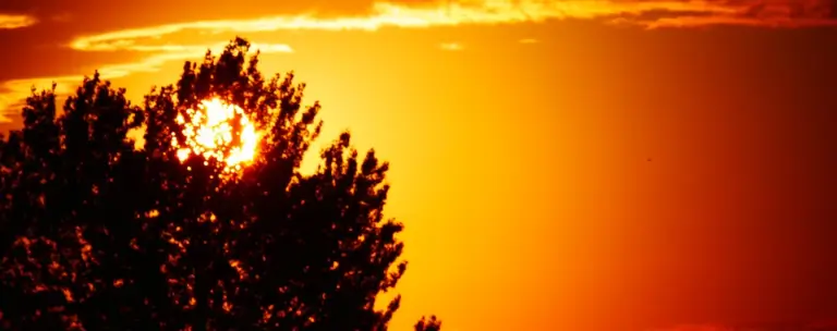 Intercept Technology™ - Maximizando la Eficiencia.