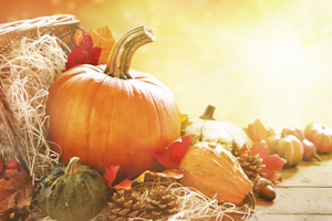 Intercept Technology™ - Protección Efectiva de Barrera Reactiva.