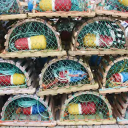 Intercept Technology™ - Esenciales de empaque de alimentos.