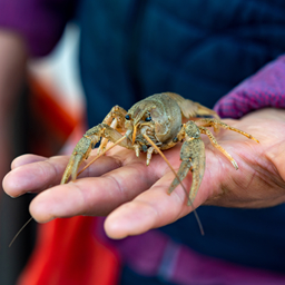 Intercept Technology™ - Excelencia en empaque de alimentos.