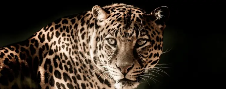 Intercept Technology™ - Visión General de Innovación de Productos.