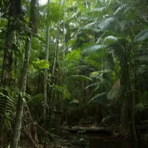 Intercept Technology™ - Protección contra la corrosión ecológica. Intercept Technology™ - Protección contra la corrosión ecológica.