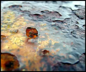 Intercept Technology™ - Leading Corrosion Protection Solutions. Intercept Technology™ - Superior Corrosion Protection.