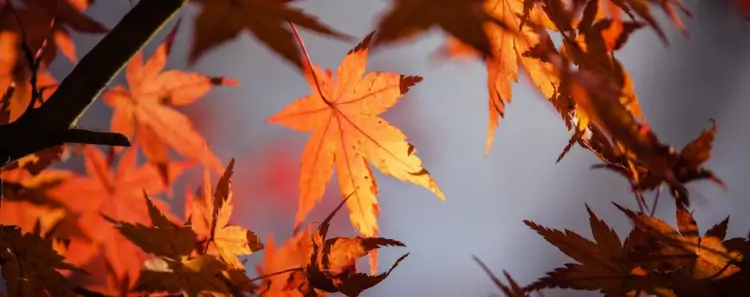 Intercept Technology™ - Vista General de Productos Static Intercept.