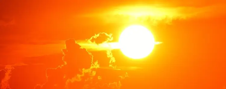 Intercept Technology™ - Soluciones de Embalaje Reutilizable.