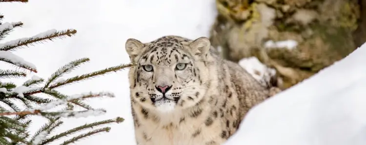 Intercept Technology™ - Protección Ambiental. Intercept Technology™ - Protección Ambiental.