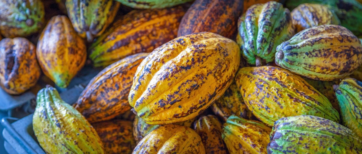 Intercept Technology™ - Embalaje de Alimentos que Previene Moho y Hongos.